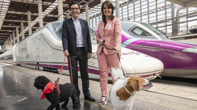 Renfe permitirá perros de hasta 40 kilos en el AVE entre Madrid, Alicante y Valencia