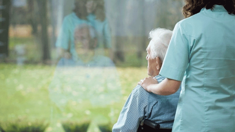 Los Nogales puede enfrentarse a una multa de 600.000 € por el caso del maltrato a dos ancinas