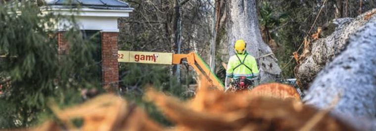 La apertura total de El Retiro se retrasa hasta el 1 de abril