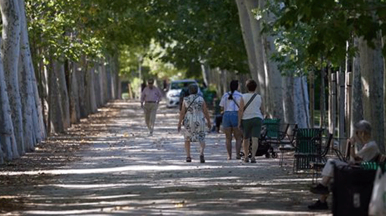 Un mando único, prohibir cables en los árboles o más aseos, propuestas de asociaciones al Plan Director de Retiro