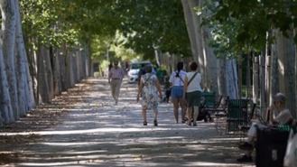 Un mando único, prohibir cables en los árboles o más aseos, propuestas de asociaciones al Plan Director de Retiro