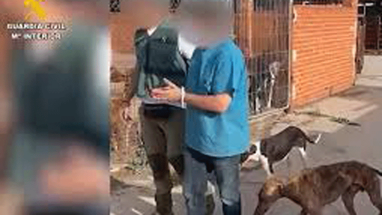 Investigado un hombre tras hallar 3 perros muertos y 11 en malas condiones