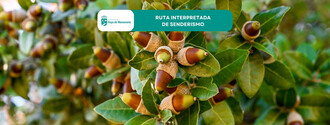 Descubre la ruta de senderismo sobre especies autóctonas e invasoras el 10 de octubre
