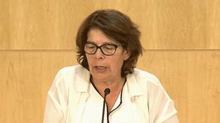 Sabanés reclama a las concesionarias de la limpieza que 'intensifiquen los servicios'