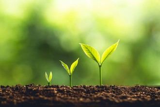 Sanitas lanza la undécima edición de Healthy Cities para fomentar ciudades saludables