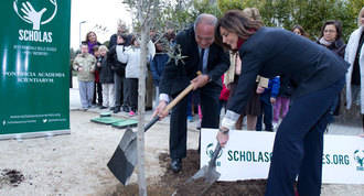 Un olivio, símbolo del proyecto "Scholas Ocurrentes" por la paz