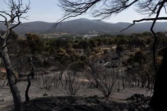 Ecologistas consideran insuficiente limitar la caza solo en las zonas quemadas de la Sierra Oeste