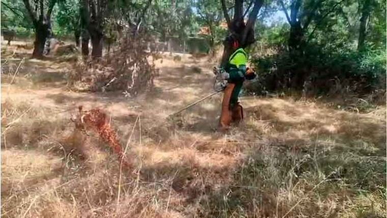 Prohibido el uso de fuego y maquinaria en la Comunidad de Madrid el 18 de julio