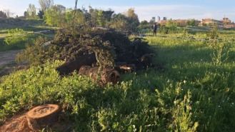 Vecinos de Montecarmelo denuncian ante la Fiscalía la tala de árboles en la parcela del cantón