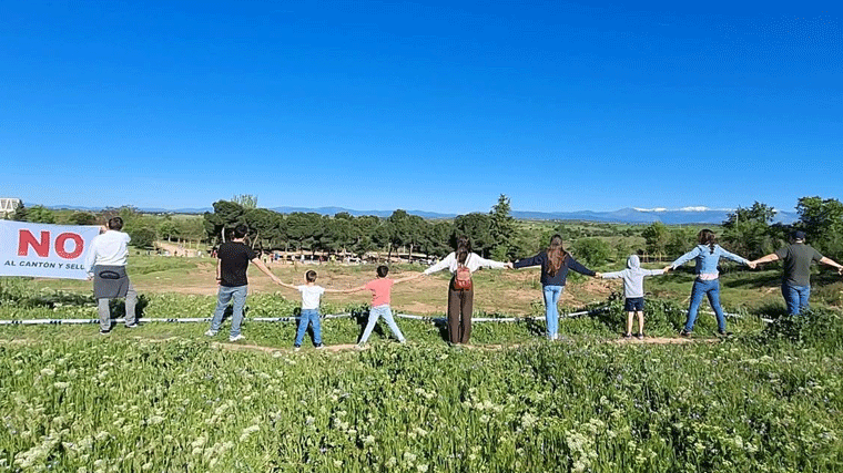 Vecinos piden a la Justicia la suspensión cautelar de la tala de árboles en el cantón