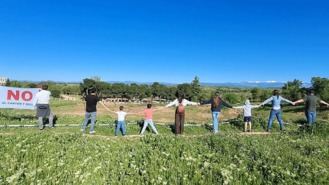 Vecinos piden a la Justicia la suspensión cautelar de la tala de árboles en el cantón