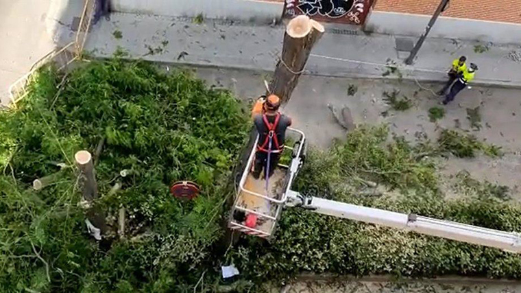 El PSOE denuncia 'tala indiscriminada de árboles' en Puerta del Angel para aparcamientos