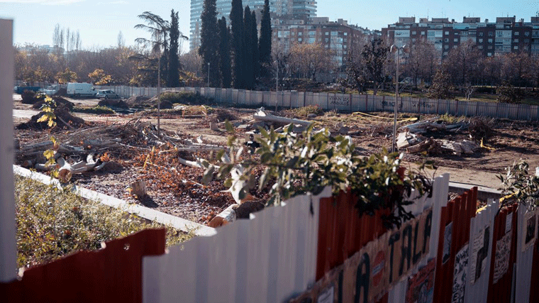 Maroto habla de 'terrorismo climatico' con las talas por la L11 de Metro y el PP dice que la ministra le ha 'dejado sola'