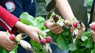 El Botánico acogerá el 3 y 4 de junio la feria de alimentación saludable, 'Expo Big Picnic'