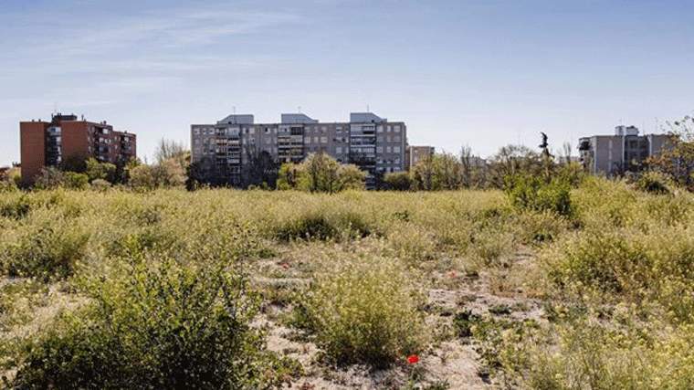 MM: Alegaciones a la urbanización de la cárcel de Carabanchel por '600 talas de árboles' y atravesar el parque