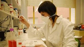 Un test detecta enfermedades del hígado sin biopsias 