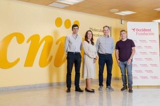 Todd Yeates diseñará nanomoléculas terapéuticas en el CNIO