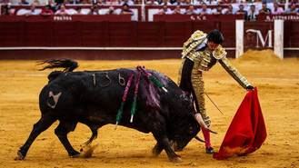 PACMA lleva al TSJM el nuevo Reglamento Taurino de Ayuso por 'irregularidades'