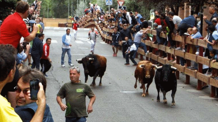 PACMA protestará en Móstoles y Fuenlabrada por los festejos taurinos