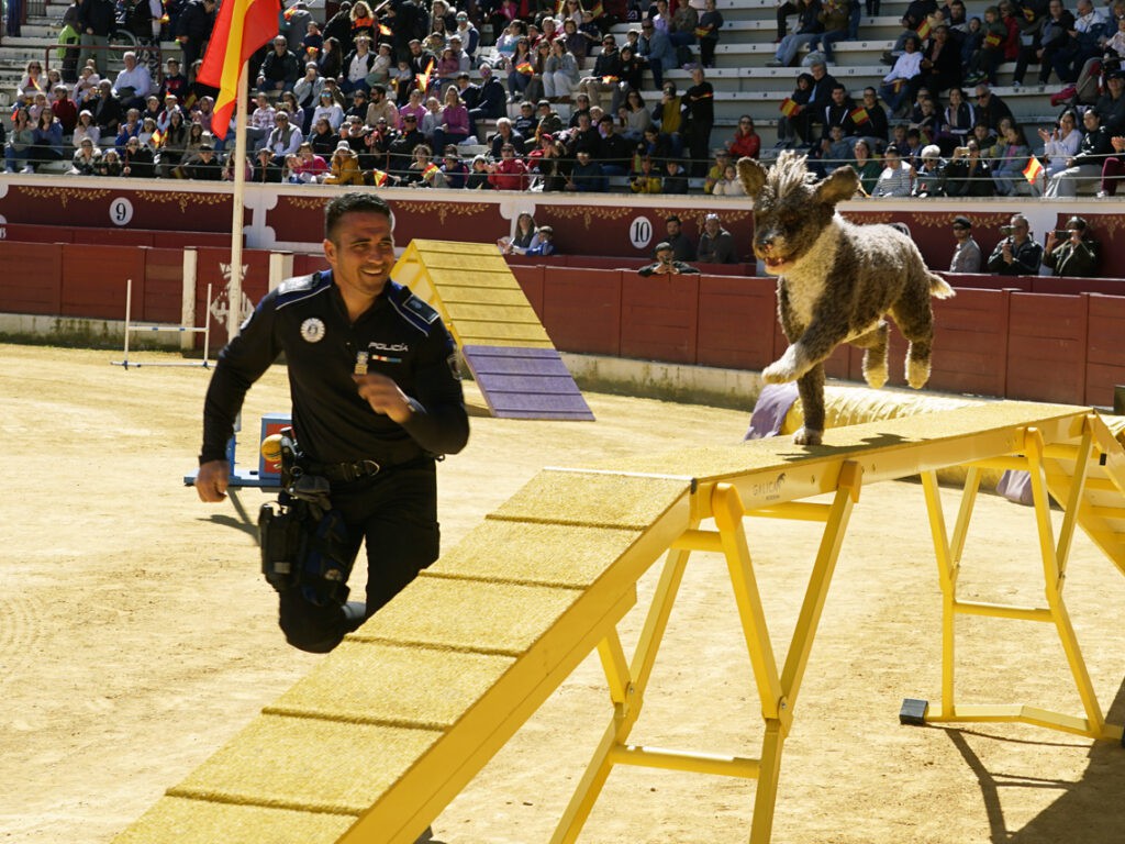 Éxito en las I Jornadas de Guías Caninos con exhibiciones de cuerpos policiales y militares en Torrejón