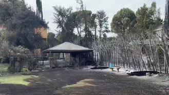 Crowfunding para repatriar a Mircea, fallecido en el incencio de Tres Cantos
