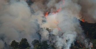 UGT y FAR piden una gestión activa del monte para prevenir incendios