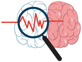 Identifican una vía cerebral ligada al deterioro cognitivo asociado a una dieta rica en grasas