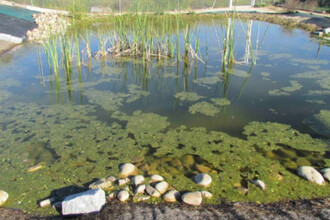URJC lanza proyecto de transición ecológica en educación superior con apoyo de la UE