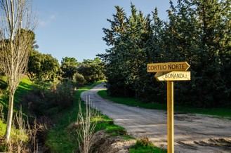 Senda de 4 km conecta urbanizaciones para ciclistas y peatones en Boadilla del Monte