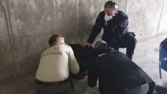 Capturan un zorro que deambulaba por las calles de Valdemoro