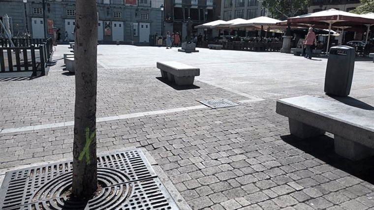 Vecinos de centro vuelven a manifestarse contra la tala de árboles en la plaza Santa Ana