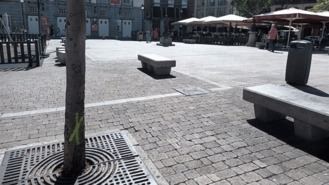 Vecinos de centro vuelven a manifestarse contra la tala de árboles en la plaza Santa Ana