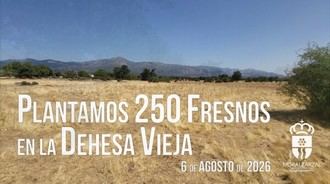Reforestación de la Dehesa Vieja: 250 fresnos para el ecosistema local