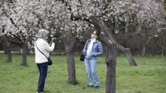 Abre el plazo de reservas para las visitas Pasea Madrid con Quinta de los Molinos como una de las novedades