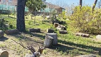 Actividades familiares sobre naturaleza programadas para esta semana