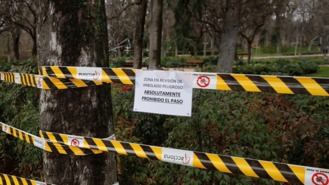 El Retiro y ocho grandes parque balizan zonas hasta la media noche por fuertes vientos